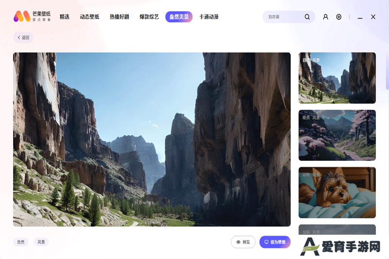 芒果壁纸标准版