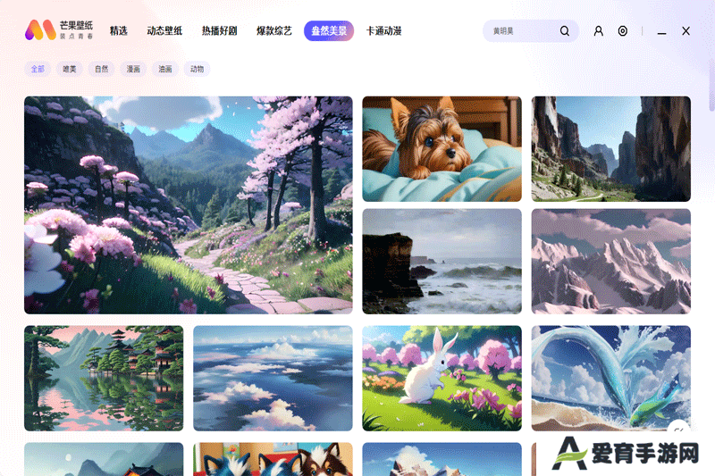 芒果壁纸标准版