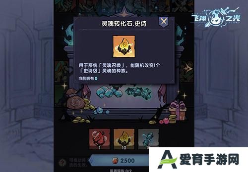 飞翔之光