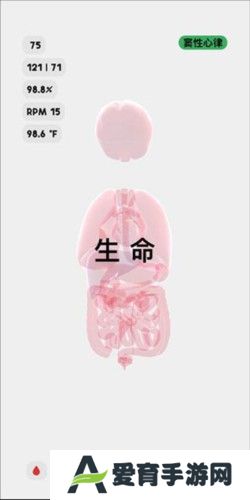生命LIFE安卓版