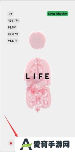 生命LIFE安卓版