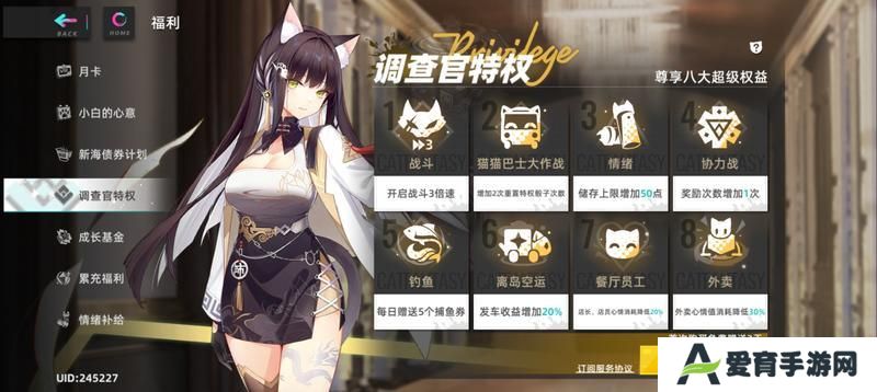 猫之城