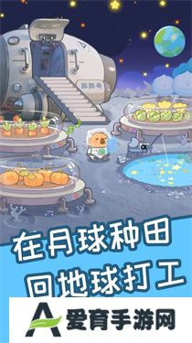 慢豚豚的生活