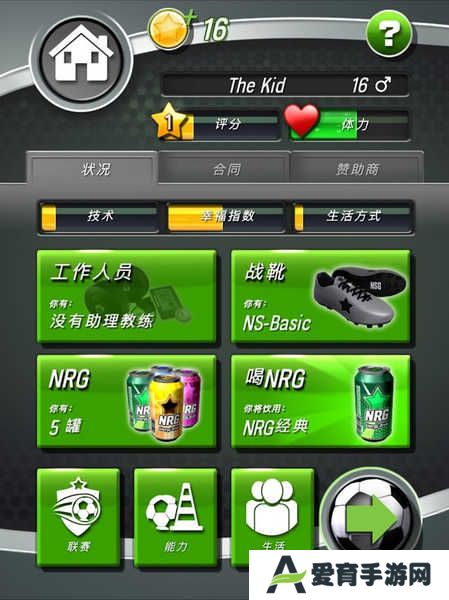 新星足球4中文版