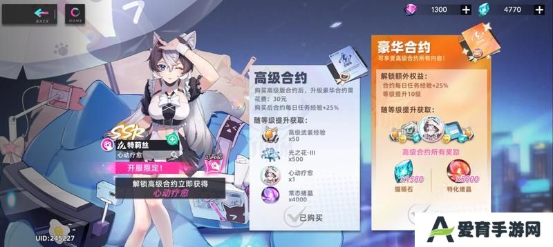 猫之城